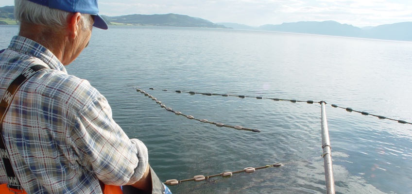 Fisker, sjø, kilenot